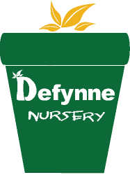 De Fynne Nursery