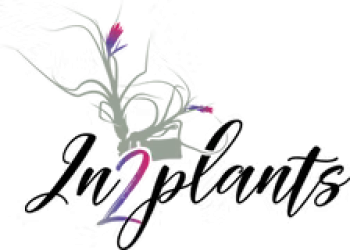 db82f3a3653cf2161a172bf51b945b88